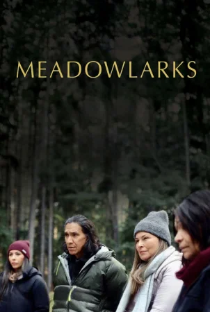 Meadowlarks () poster - Allmovieland.to